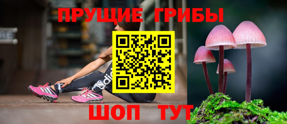 Калач-на-Дону  Псилоцибиновые грибы мицелий  Вход с VPN  Псилоцибиновые грибы Psilocybine cubensis 