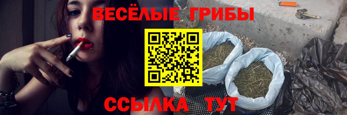 Псилоцибиновые грибы мицелий Калач-на-Дону