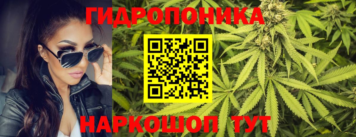 Каннабис индика Калач-на-Дону